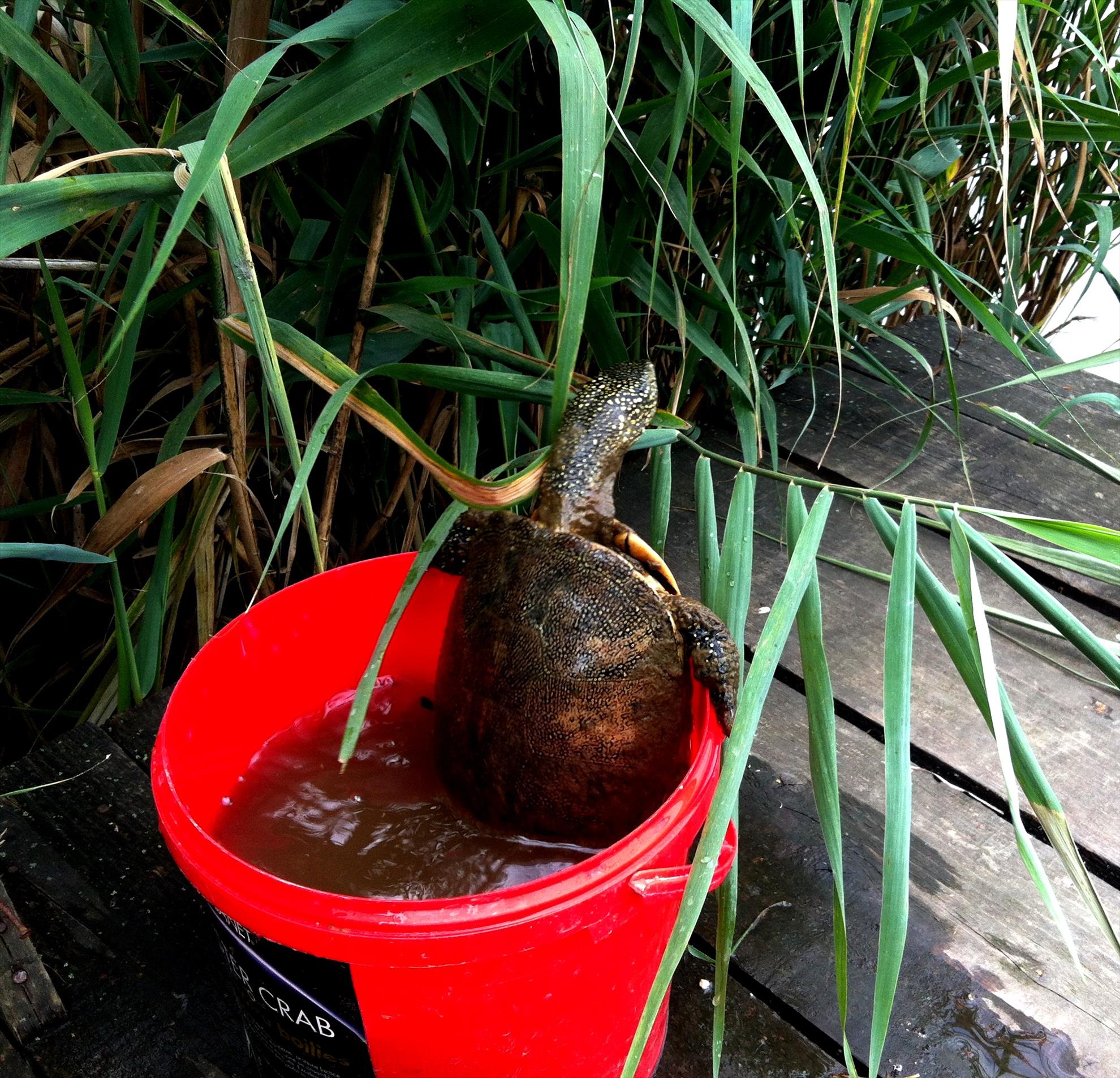 Magura 9 16 - 17 aug. - 5.JPG